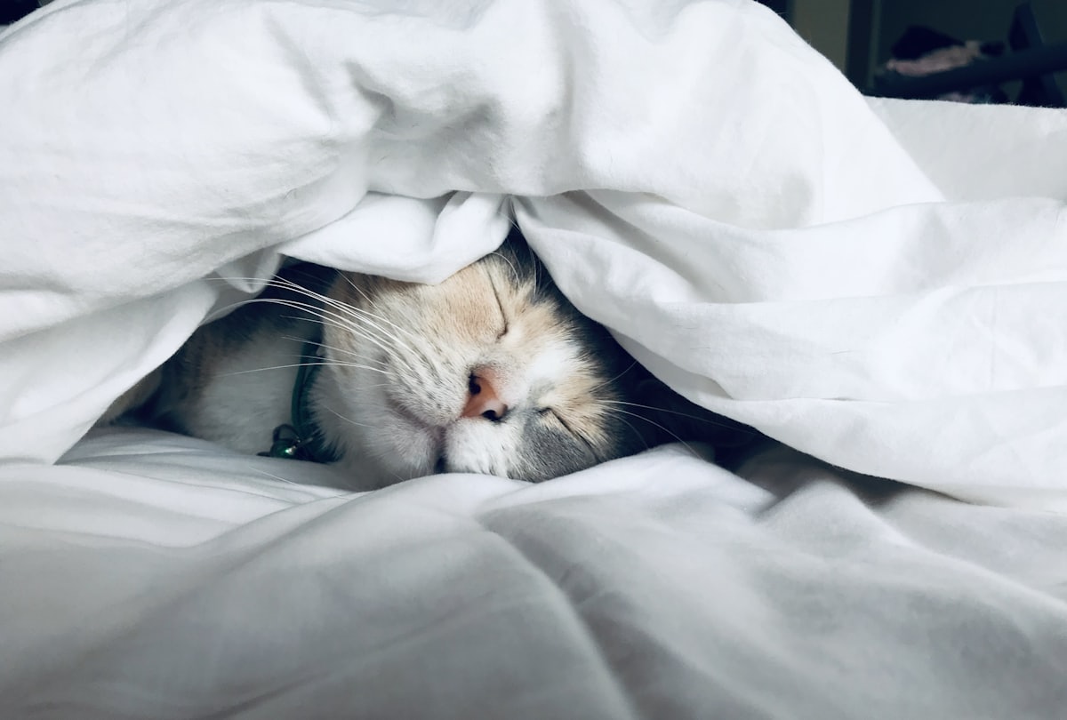 Cauchemars et fatigue au réveil Adulte éveillé dans son lit au réveil, marqué par des cauchemars répétés et la fatigue